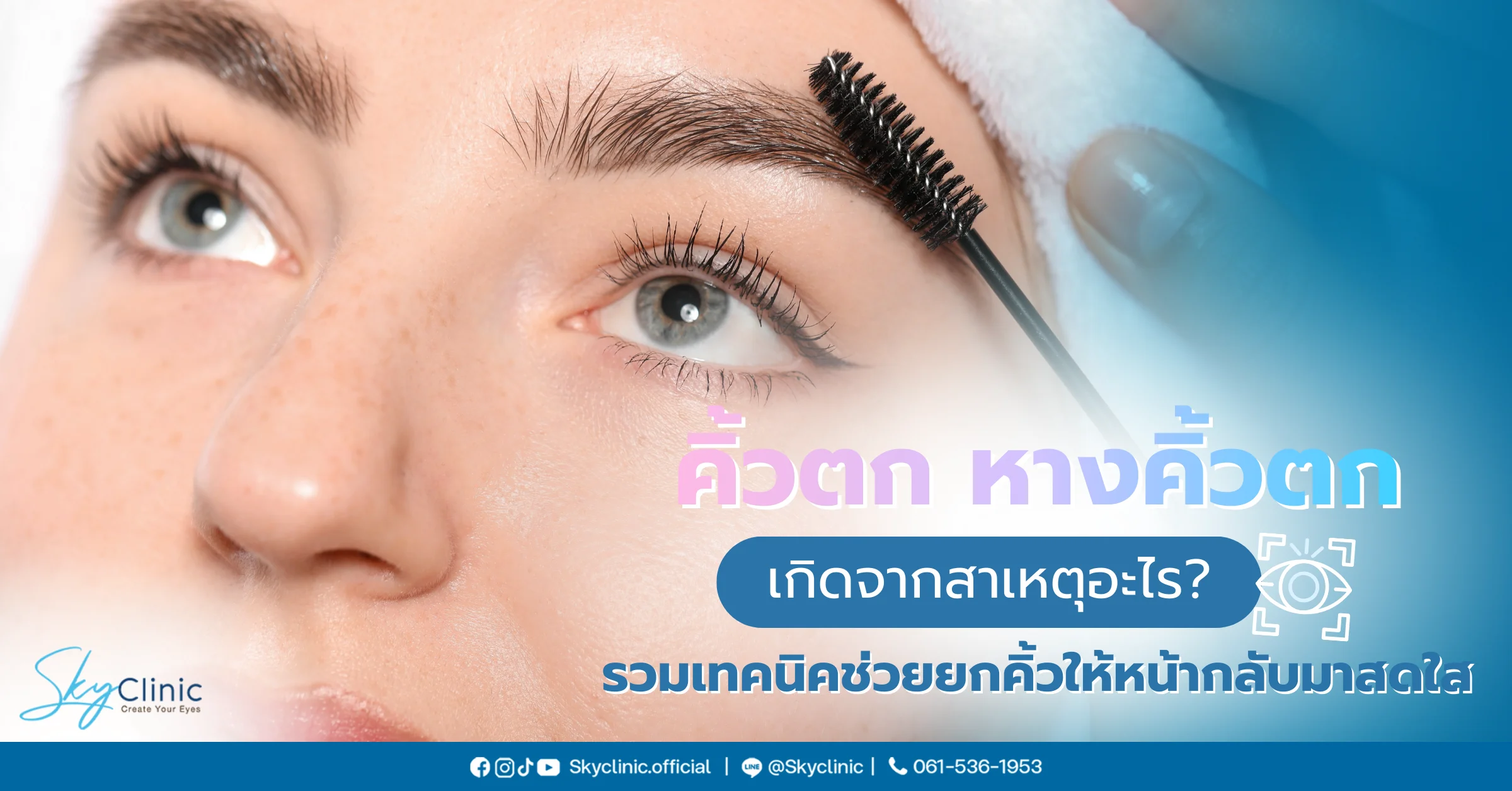 คิ้วตก หางคิ้วตก