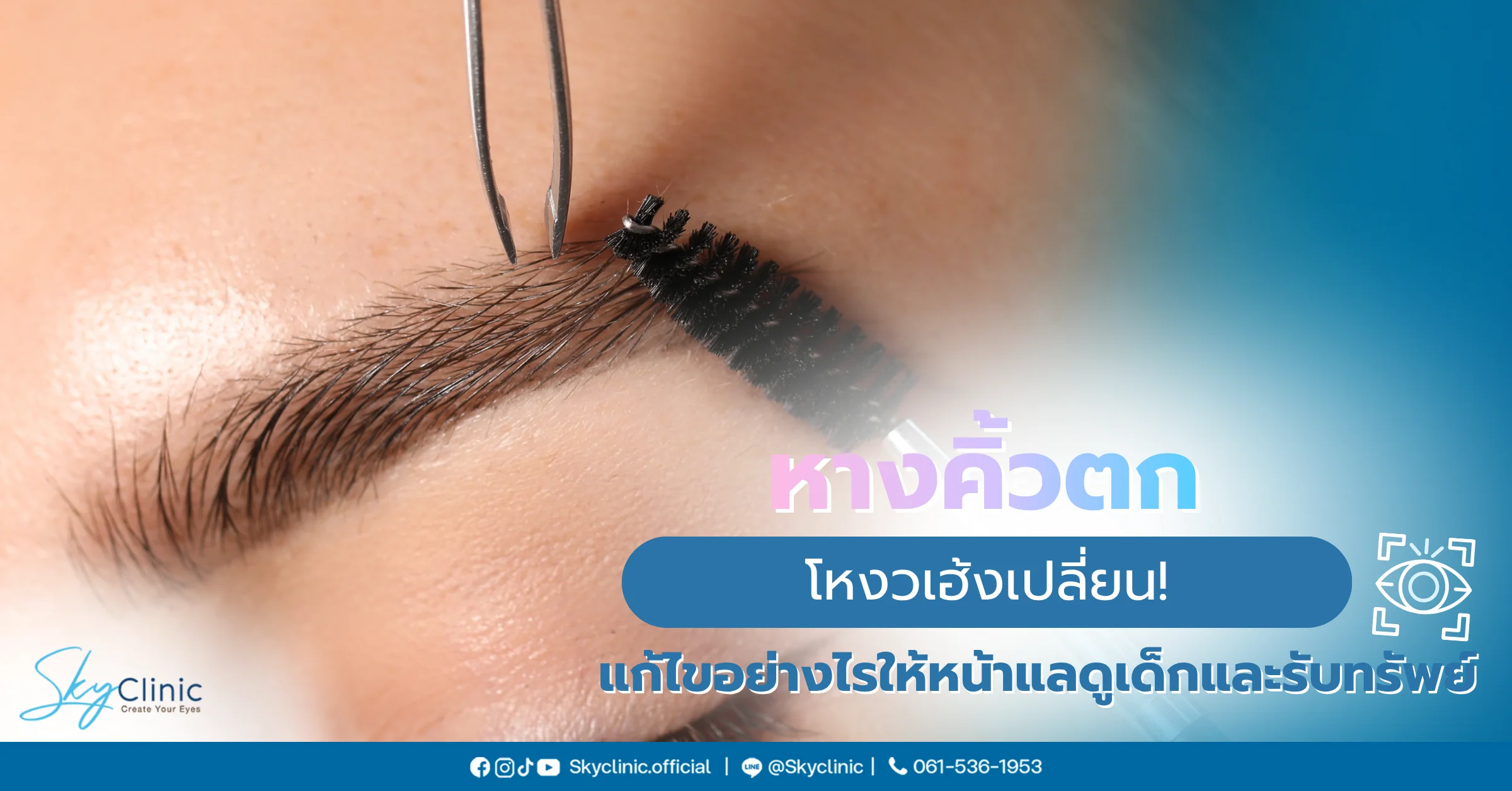 หางคิ้วตก